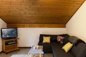 a living room with a couch and a tv at Résidence Le Vieux Moulin - 4 Pièces pour 6 Personnes 144 in Morzine