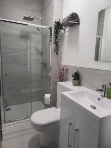 uma casa de banho com um chuveiro, um WC e um lavatório. em Dragonflies em Hordle
