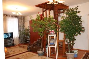 Foto dalla galleria di At-Bashy Hostel (Shepherd's Life Guest House) a At-Bashy
