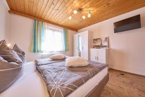 TV a/nebo společenská místnost v ubytování Miller Appartements