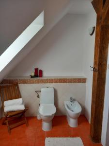 a bathroom with a toilet and a sink at Leśniczówka Zawilec in Budry