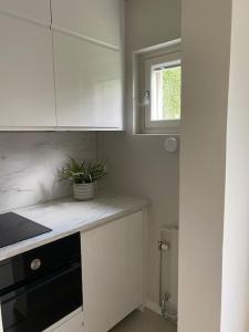 a kitchen with white cabinets and a plant on the counter at Modern apartment with parking in Helsinki