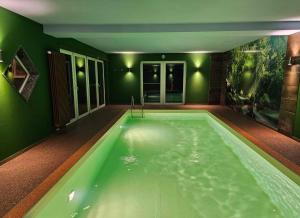 uma piscina num quarto com paredes verdes em Holiday home in Coswig 3105 em Möllensdorf