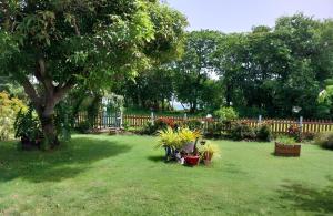 une cour dotée d'une clôture avec des plantes et un arbre dans l'établissement Villa Standing Accès Privé Plage, à Sainte-Rose
