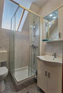 uma casa de banho com um chuveiro, um WC e um lavatório. em Guest house 902 Črnivec em Gornji Grad