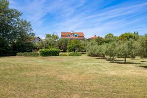 Vonkajšia záhrada v ubytovaní Pool Suite Glavotok at Krk Island - Happy Rentals