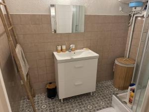 a bathroom with a sink and a mirror at Carpentras cosy& 3 voyageurs& in Carpentras