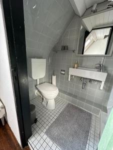 a bathroom with a toilet and a sink at Maries Stadthaus in Kalkar +6 photos