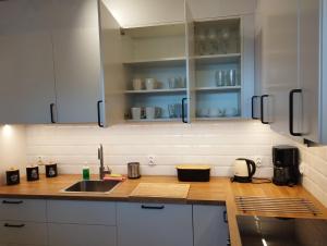 Een keuken of kitchenette bij Apartament Osowskie Zacisze