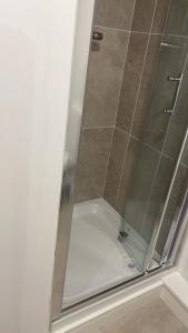 ダブリンにあるBELMAYNE APARTMENTSのバスルーム(ガラスドア付きのシャワー付)