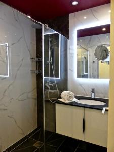 ein Bad mit einem Waschbecken und einer Dusche mit einem Spiegel in der Unterkunft Résidence Le Vallon Guadeloupe Parc Piscine Appartements & Studios & Services hôteliers à la carte in Saint-François