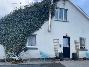 una bicicleta estacionada frente a una casa blanca en Kilkenny rental The Folly Lodge minutes from city centre R95RYC8, en Kilkenny