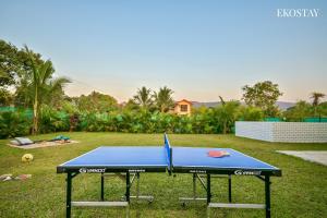 a blue ping pong table in the grass at EKOSTAY - Bloomfield Villa in Alibaug