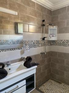 a bathroom with a sink and a shower at Maison de Noé Djerba Midoun in Midoun