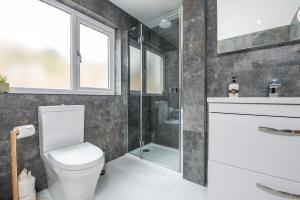a bathroom with a toilet and a shower at Llwynblyfyn in Llandeilo +45 photos