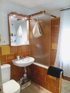 y baño con lavabo, aseo y ducha. en Apartamento San Agustín, en Córdoba