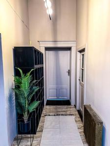 um corredor com uma porta e um vaso de plantas em cozy & charming apt. downtown em Timisoara