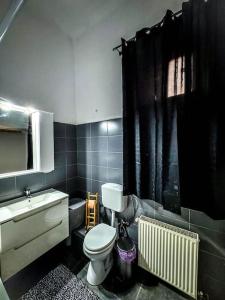 uma casa de banho com um WC branco e um lavatório. em cozy & charming apt. downtown em Timisoara