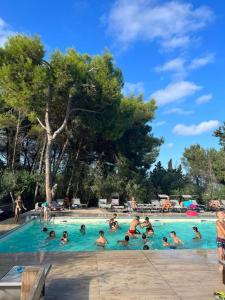 un grupo de personas en una piscina en Camping La Scogliera - Maeva Vacansoleil, en Castro di Lecce