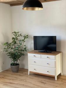 einen Fernseher auf einer Kommode mit Topfpflanze in der Unterkunft Bohlinger Seeapartments in Bohlingen