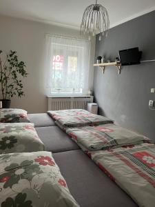 a room with two beds and a window at Ubytování Mája in Liberec