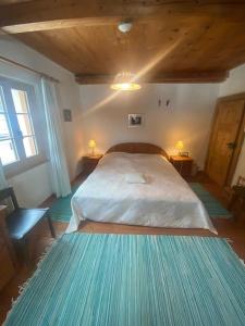 1 dormitorio con 1 cama grande en una habitación en Bondo Bergell, en Promontogno