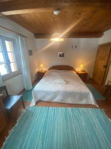 a bedroom with a large bed in a room at Bondo Bergell in Promontogno