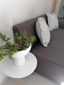ein Wohnzimmer mit einem Sofa und einem Tisch mit einer Pflanze in der Unterkunft 77 on Percy in Johannesburg