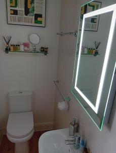 a bathroom with a toilet and a sink and a mirror at The Swallows B and B in Exmouth