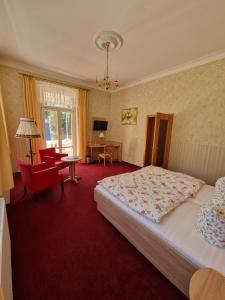 巴特尚道的住宿－Pension Villa Anna，一间卧室配有一张床,铺有红色地毯