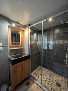 a bathroom with a glass shower and a sink at Gîte De Chevreuse in Chevreuse