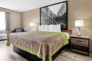 哈克高地的住宿－Super 8 by Wyndham Harker Heights Killeen Fort Hood，酒店客房,配有一张带绿毯的床