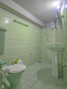 a bathroom with a toilet and a sink and a shower at The Brick House Kandy in Kandy