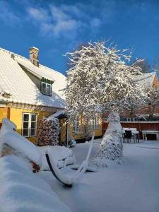 Idyllisk, historisk byhus ved fjorden i Mariager v zimě