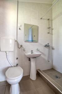 uma casa de banho com um WC, um lavatório e um chuveiro em Vila Bronhi em Sutomore