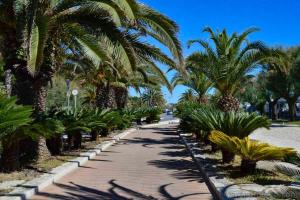 un marciapiede fiancheggiato da palme e da una strada di Trilocale Volta in seconda fila mare a San Benedetto del Tronto