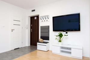 ein Wohnzimmer mit einem Flachbild-TV an der Wand in der Unterkunft Apartament Chełm City in Chełm