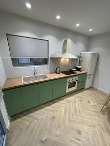 a kitchen with green cabinets and a sink and a refrigerator at Down Town Nea Smyrni in Athens