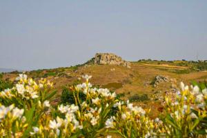 Fotografie z fotogalerie ubytování Villa Angelena v destinaci Droushia