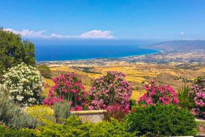 Fotografie z fotogalerie ubytování Villa Angelena v destinaci Droushia