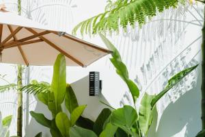 an umbrella sitting next to some green plants at Deluxe apartments Canggu area with gym coworking security parking and full services in Tumbak Bayuh