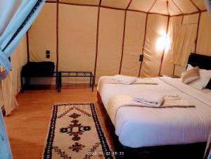 Postel nebo postele na pokoji v ubytování Merzouga Wildlife Desert Camp
