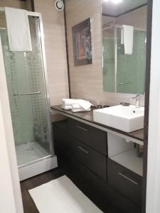 un bagno con lavandino e doccia di Annecy Dream Appart ad Annecy