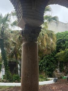 a large stone column in a yard with a palm tree at Palacio de los Angulo casa histórica en el centro de Córdoba in Córdoba