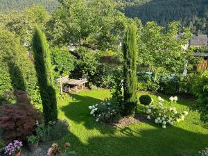 an aerial view of a garden with trees and flowers at York Cottage Garden in Traben-Trarbach +4 photos