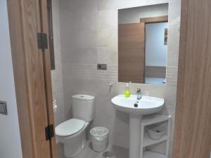 a bathroom with a white toilet and a sink at Hostal Casa Fermina- A 2 horas de las pistas de esquí in Trevélez