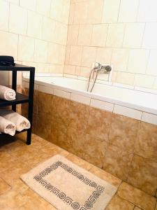 a bathroom with a bath tub with a rug at Woodstay Apartments in Orestiada