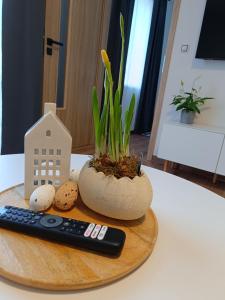 Fotografie z fotogalerie ubytování Apartmán Pregrtovi v Bořeticích