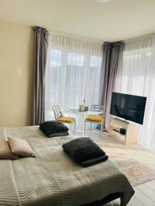 a bedroom with a bed and a table and a television at Apartament 25 Czarna Góra nr 5 Ischgl in Sienna