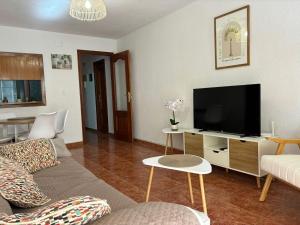 Televízia a/alebo spoločenská miestnosť v ubytovaní Apartamento Rivas